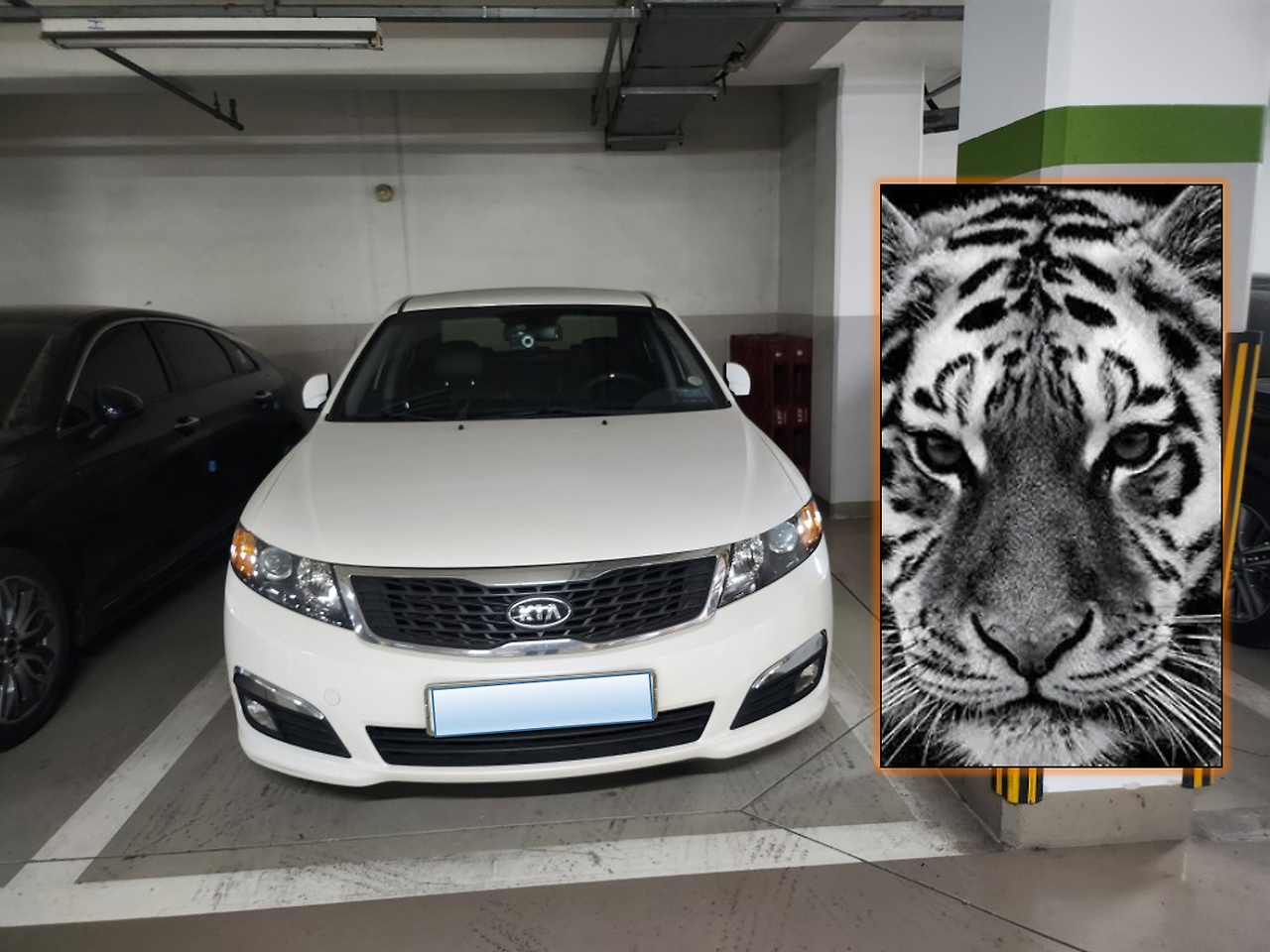 기아 타이거 노즈.png