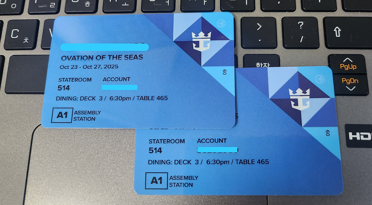 크루즈 선 내 카드.png