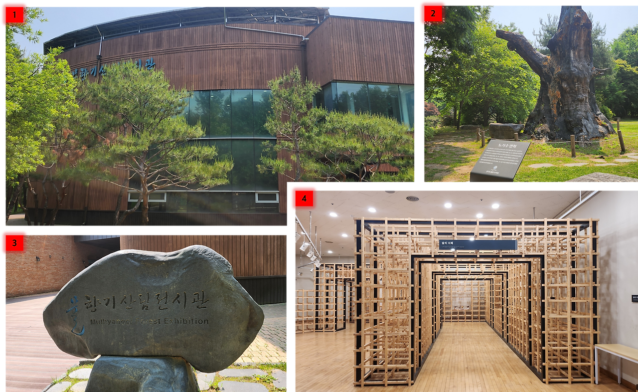 물향기산림전시관.png