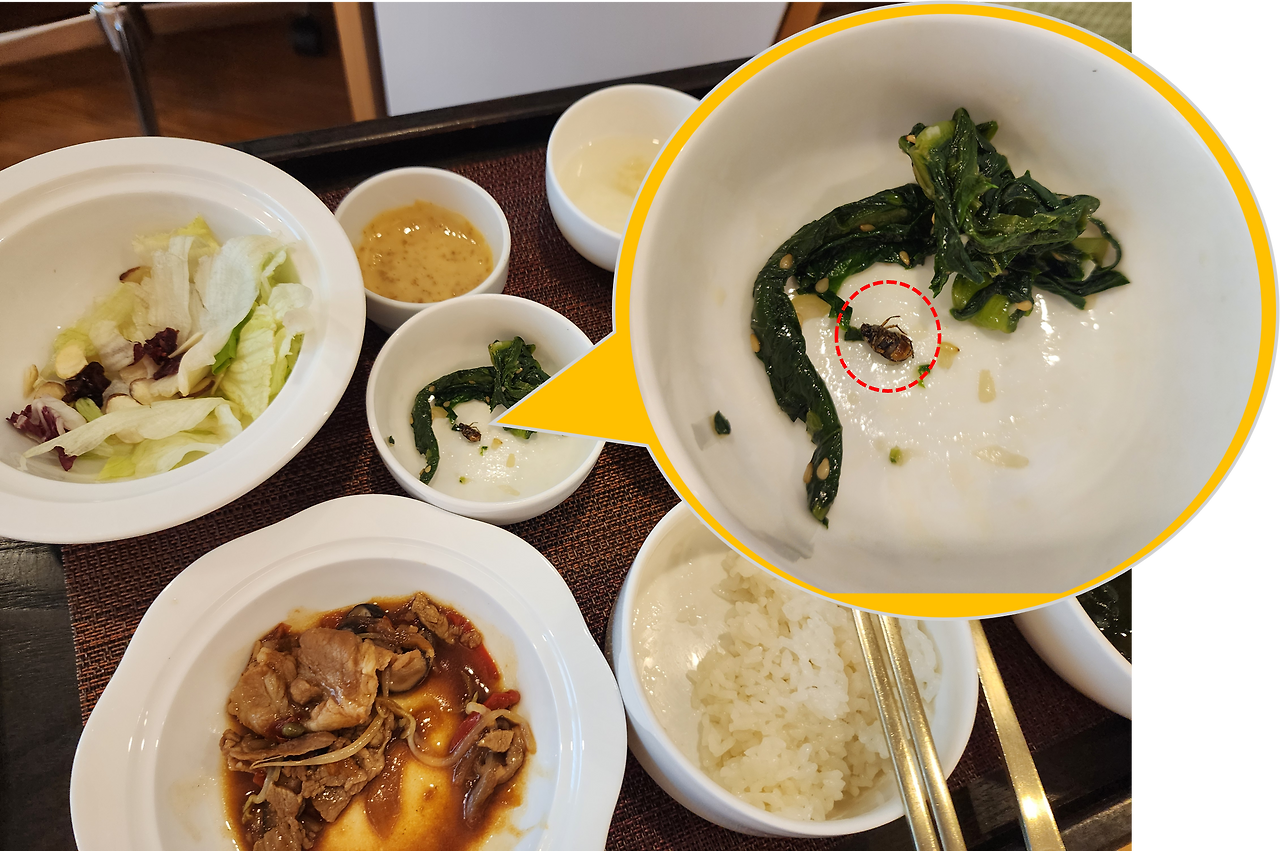 조리원 벌레.png