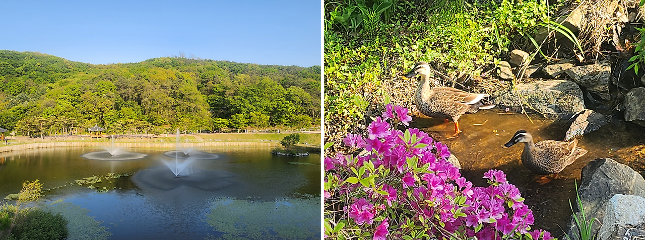 초막골 풍경 6.png