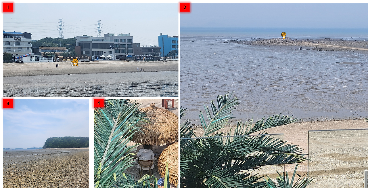 발리다 전경.png