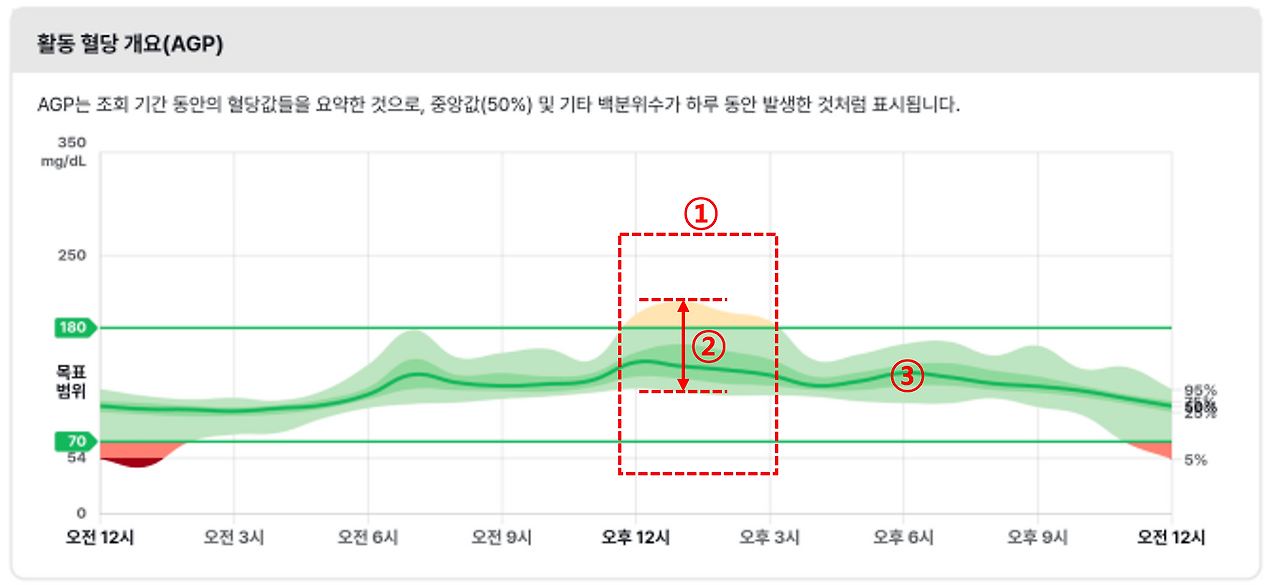 1차 활동혈당개요 수정.png