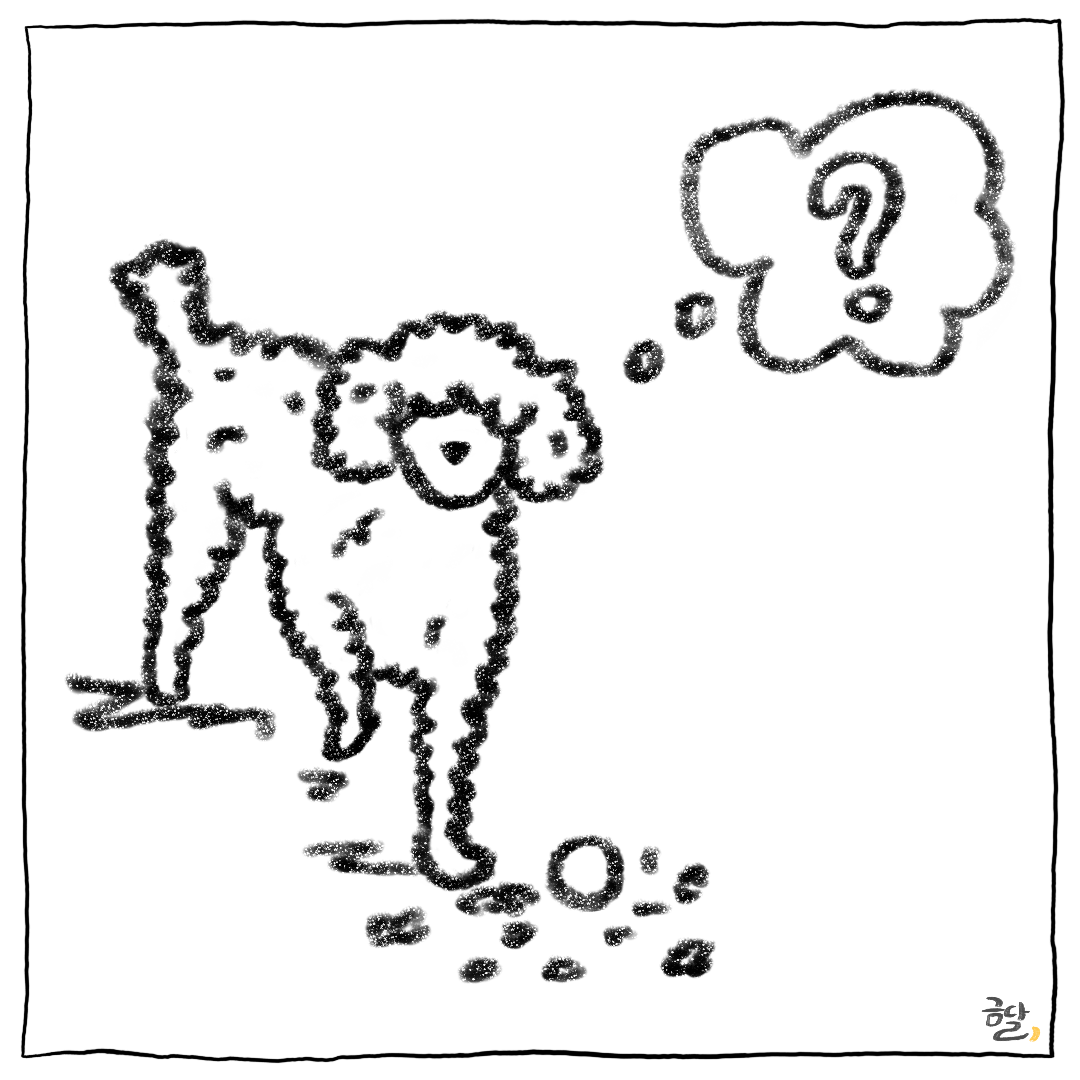 5_골프공으로 확인한 튼튼함.png