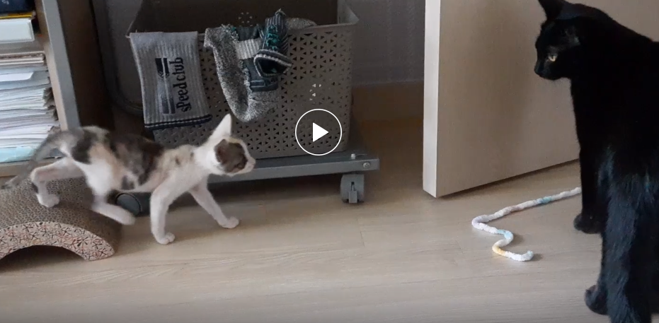 스크린샷 2024-03-07 191821.png