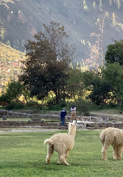 화면 캡처 2024-02-28 130941.png