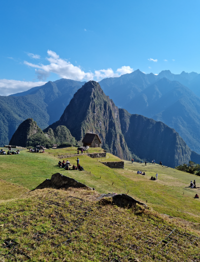 화면 캡처 2024-02-29 152205.png