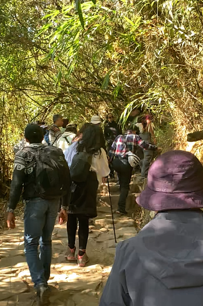 화면 캡처 2024-02-29 151914.png