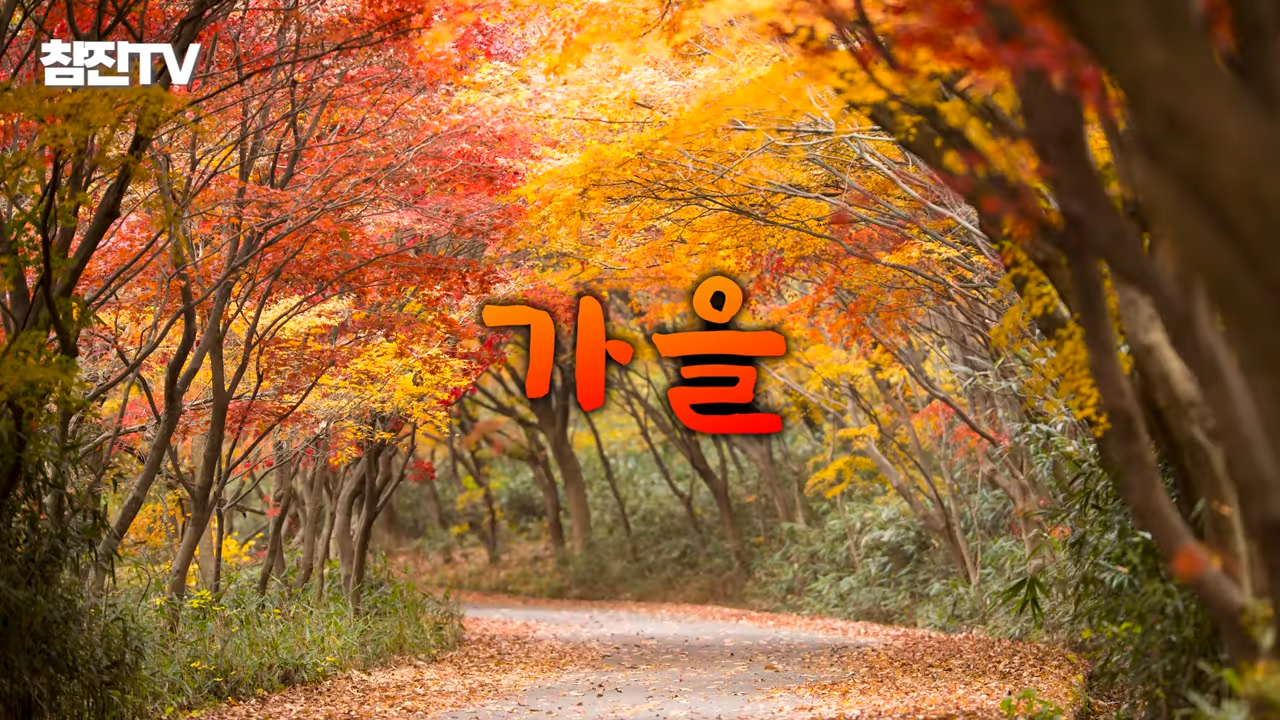 검버섯, 흑자 없애는 방법 공개! 영상 하나로 정리해드립니다! #흑자제거 #검버섯 #여드름흉터 5-59 screenshot.png