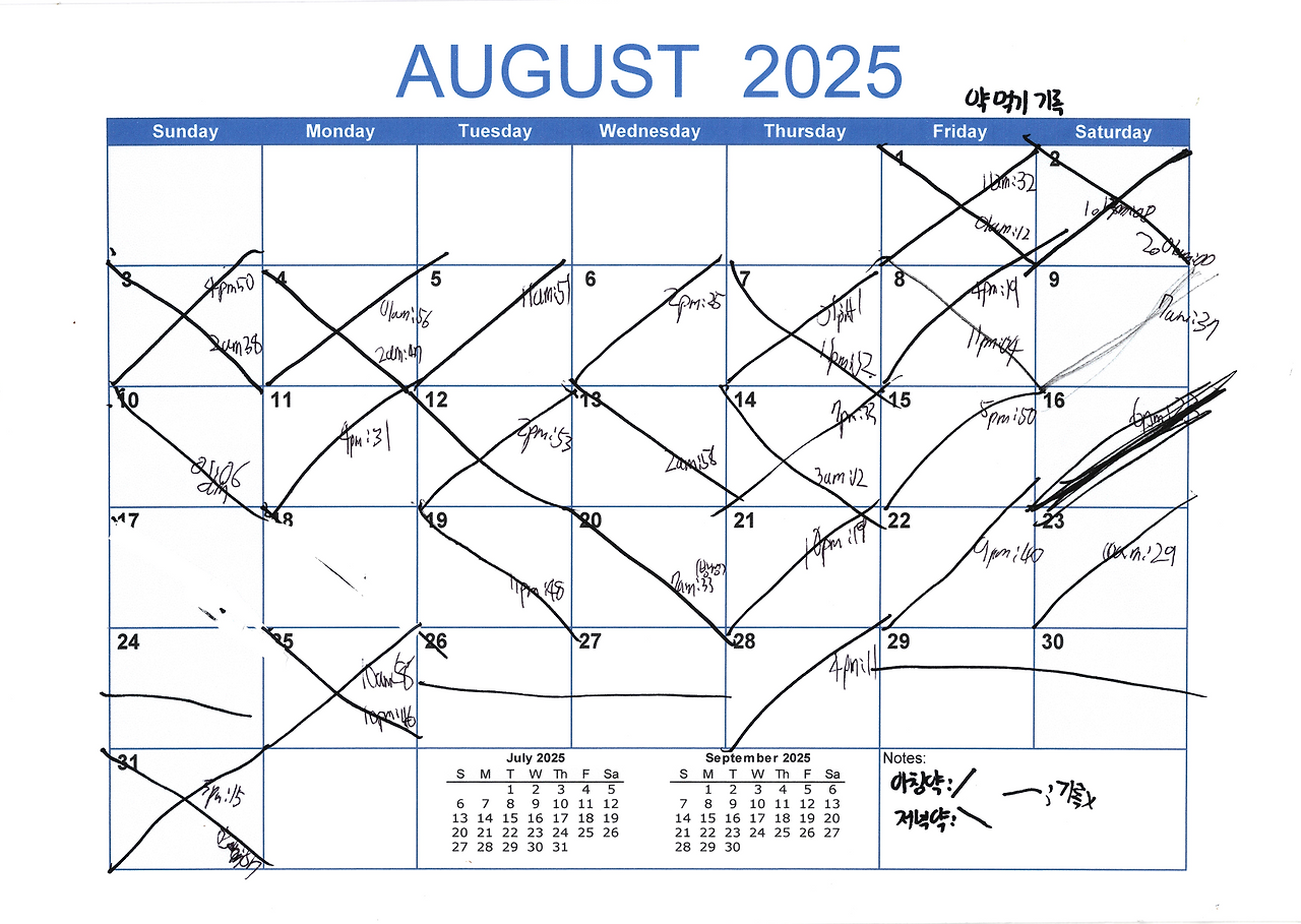 8월 약먹기 기록 .png