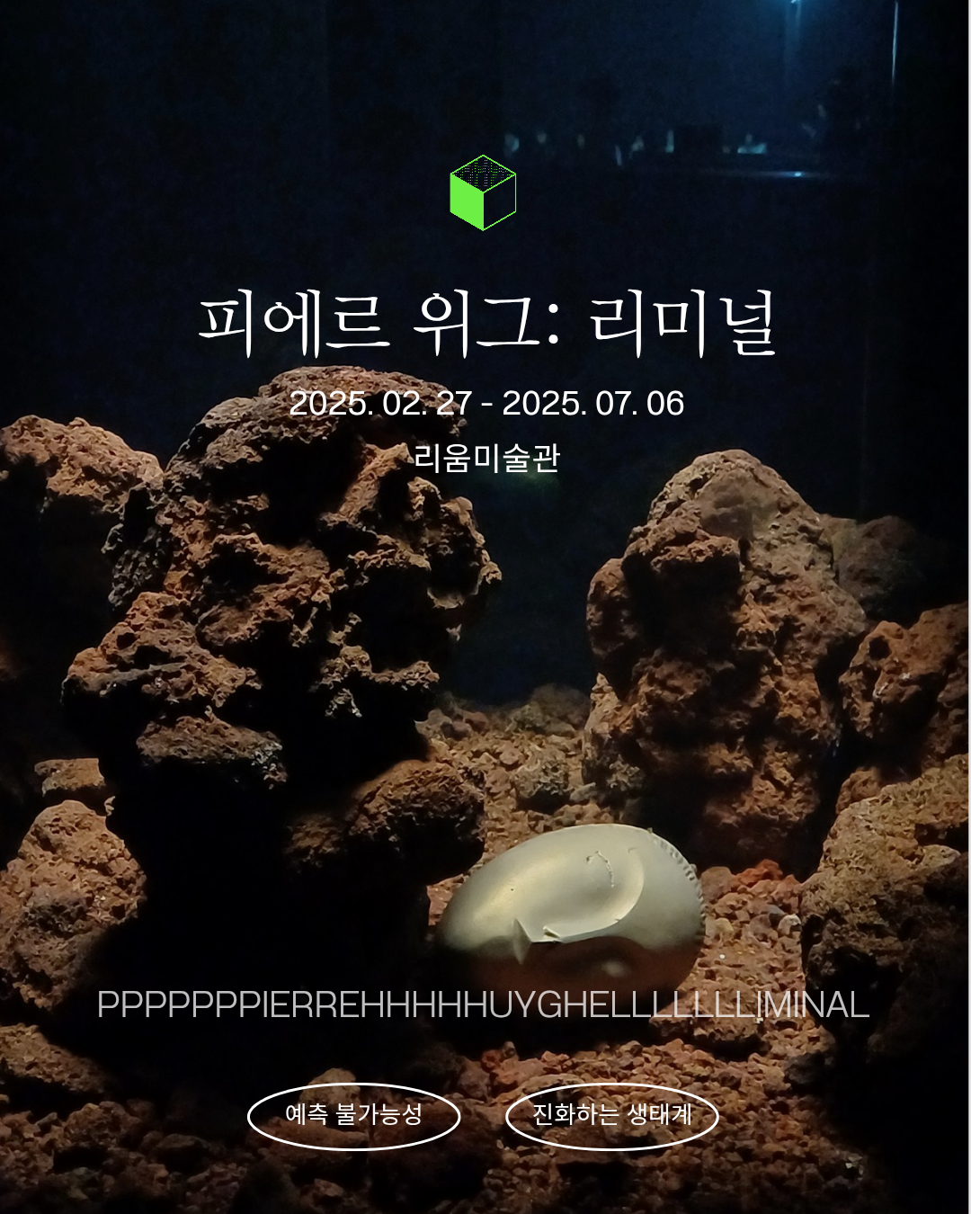 KakaoTalk_20250307_173152601.png