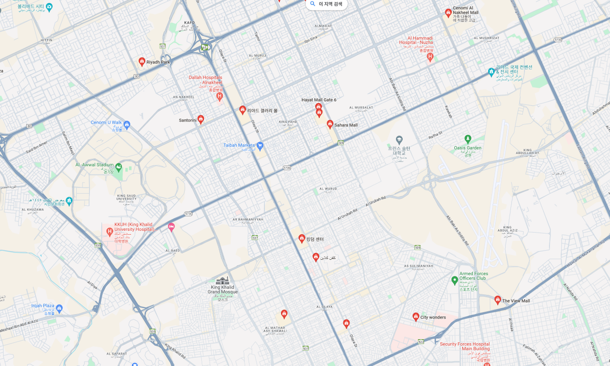 리야드 쇼핑몰.png