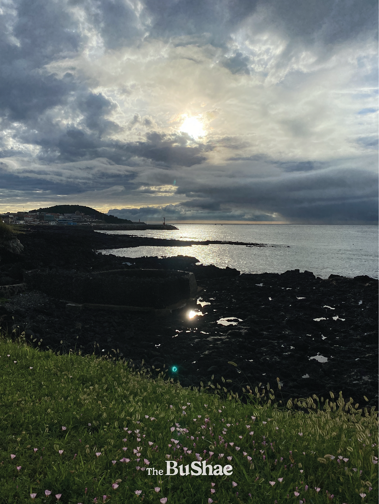 더브쉐 21.png