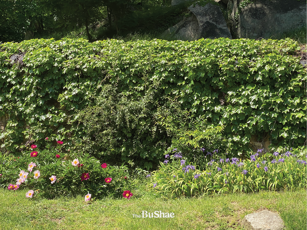 더브쉐 25.png