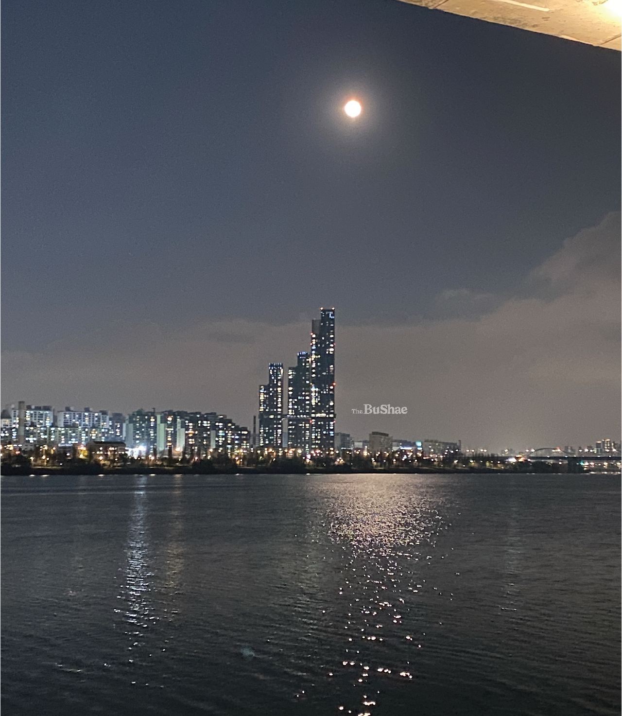 더브쉐 26.png