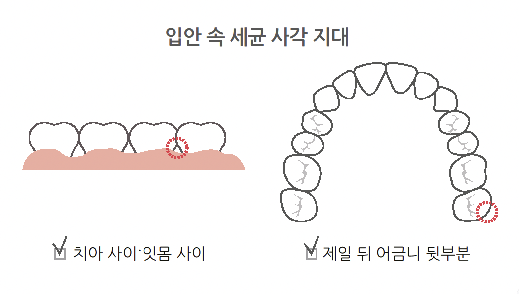 스크린샷 2024-03-25 오후 5.47.38.png