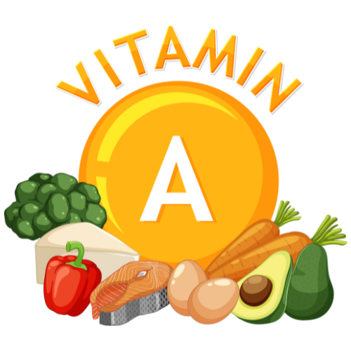 비타민a.png
