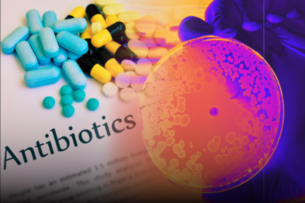 블로그삽입이미지2 202410~.png