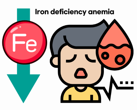 꿀조합1_철분결핍성빈혈.png