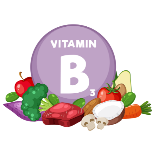 비타민b3.png