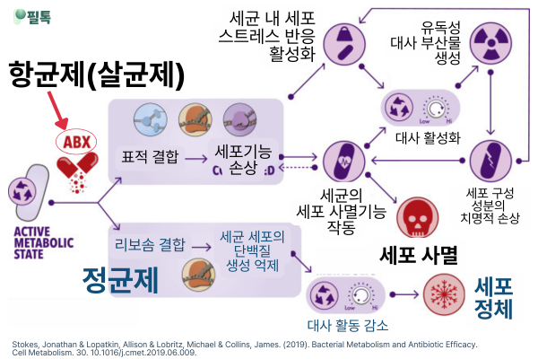 항균제와 정균제.png
