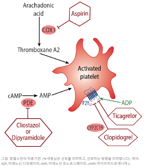 항혈소판제 약물.png