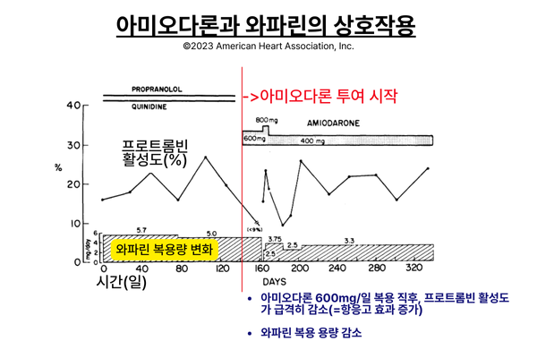 와파린3_아미오다론.png
