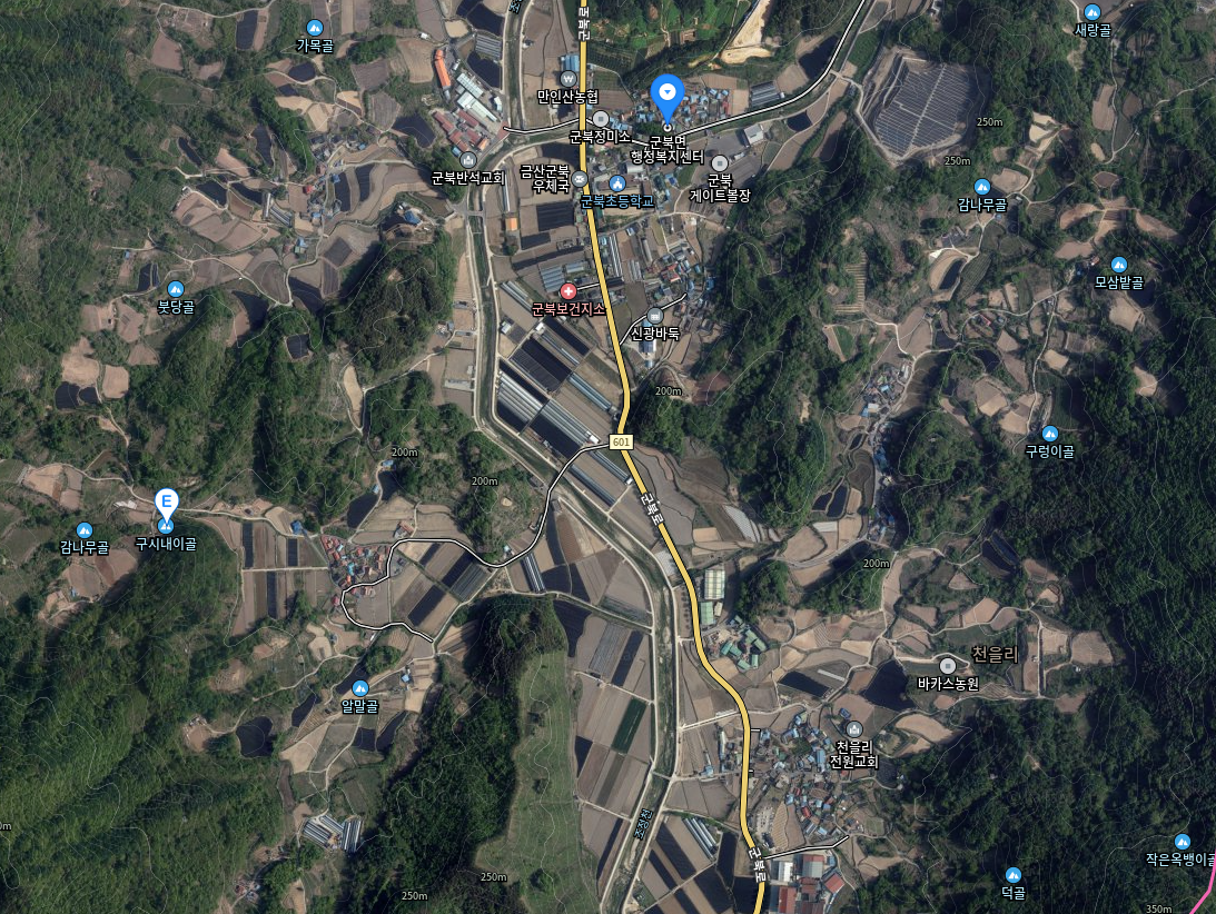 두두리 현재.png