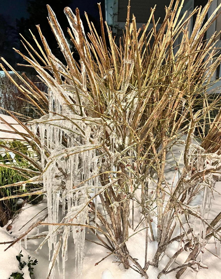 Screenshot 2025-07-16 162237.png