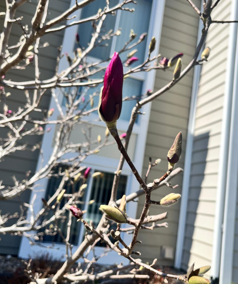 Screenshot 2025-07-16 162213.png