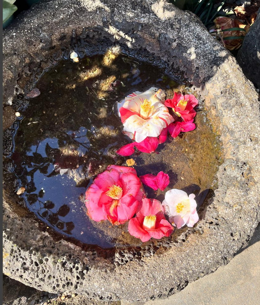 Screenshot 2025-07-17 140156.png