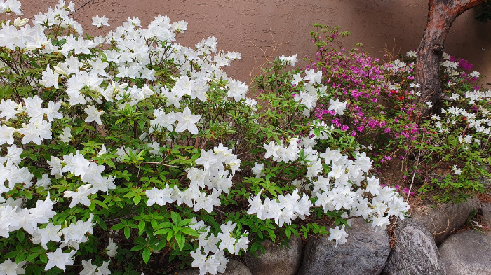 다운로드 (4).png