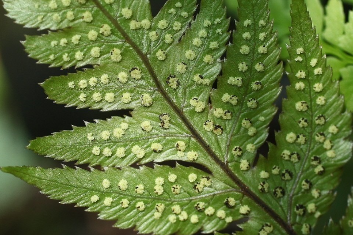 다운로드 (2).png