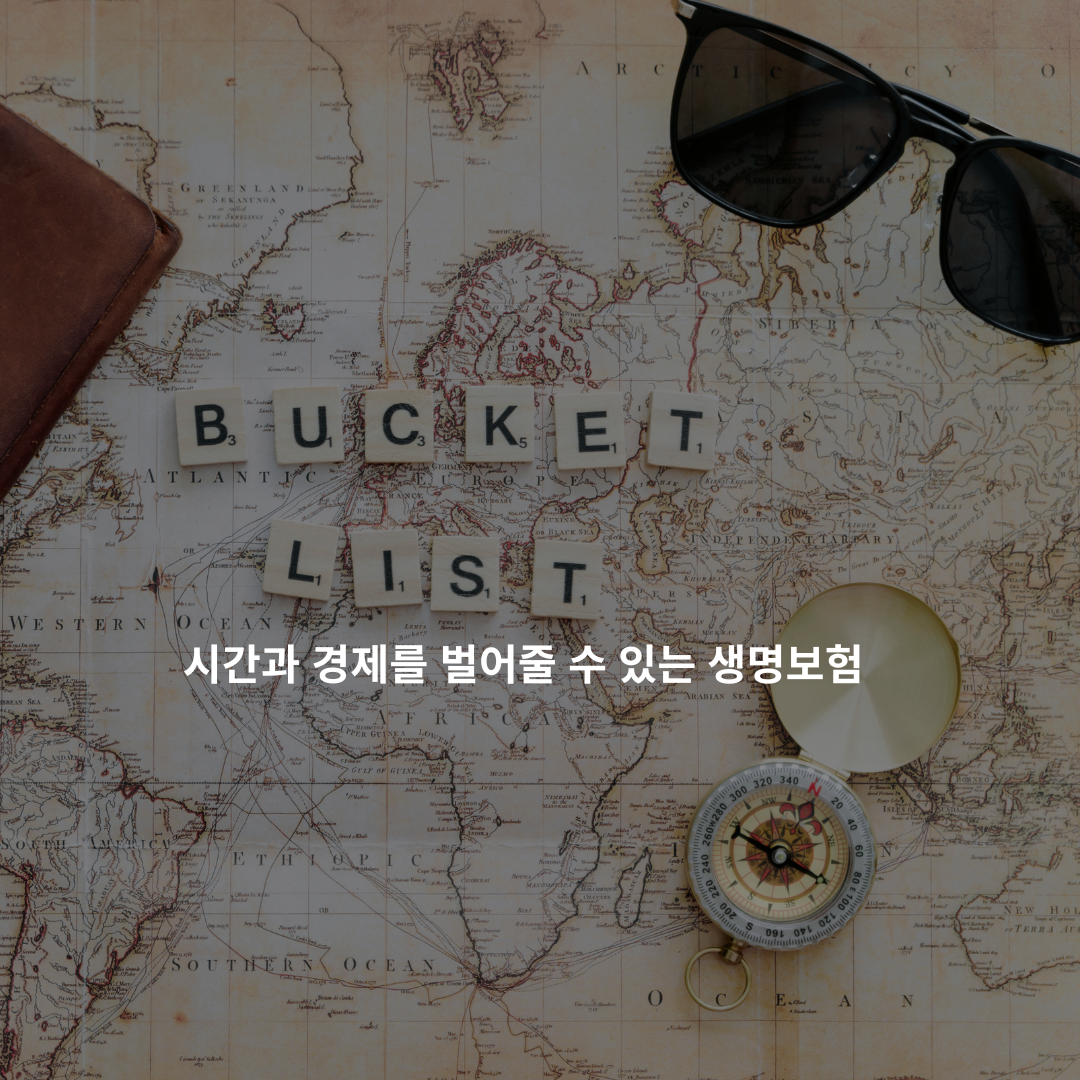 시간과 경제를 벌어줄 수 있는 생명보험.png