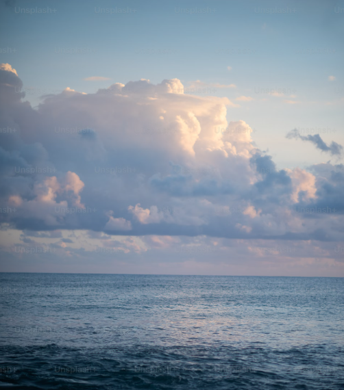 20250303_080221바다_unsplash Tasha marie.png