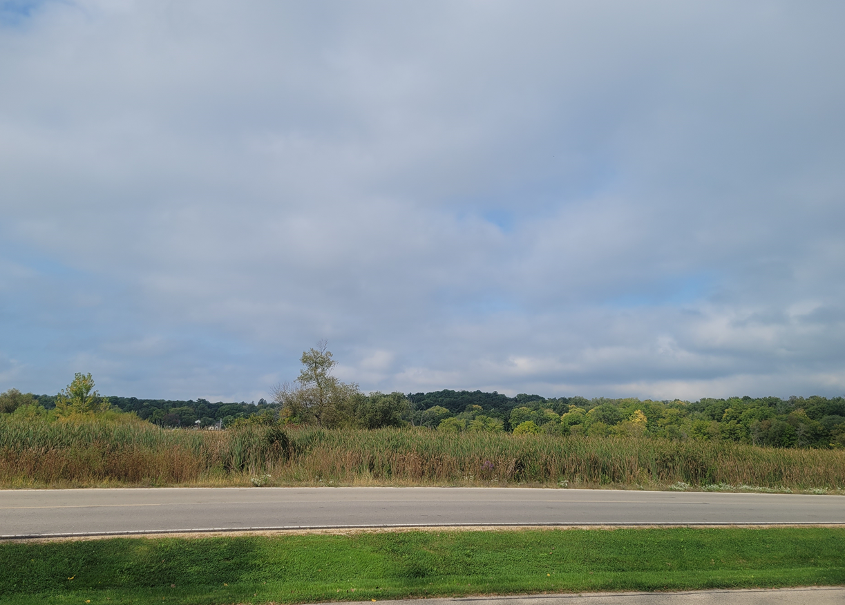 20250925 산책길.png