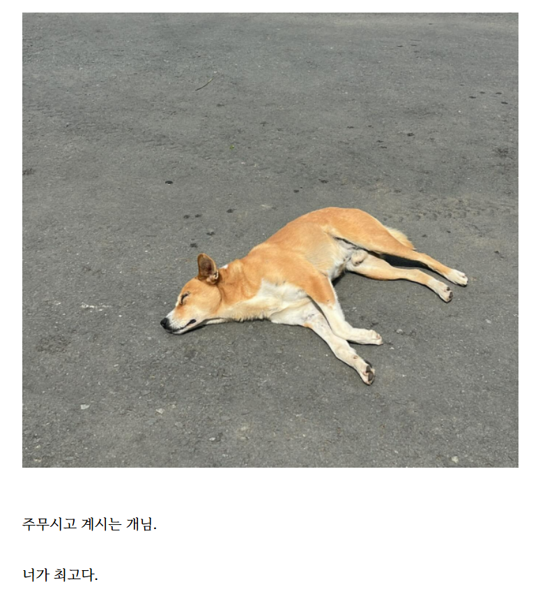 화면 캡처 2024-12-16 101148.png