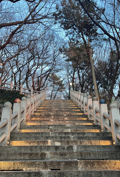 화면 캡처 2025-02-05 194445.png