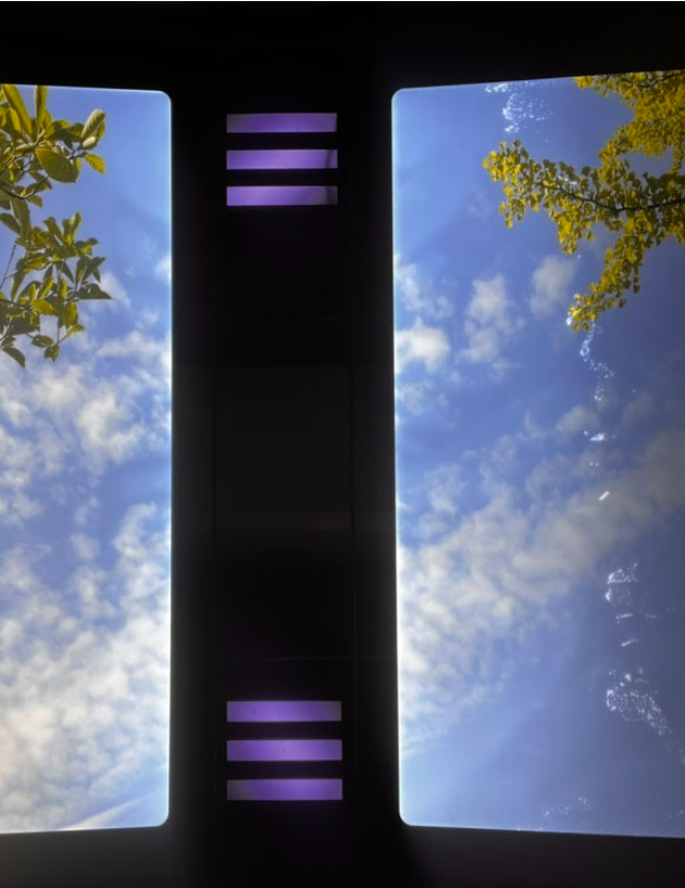 화면 캡처 2025-02-05 183352.png