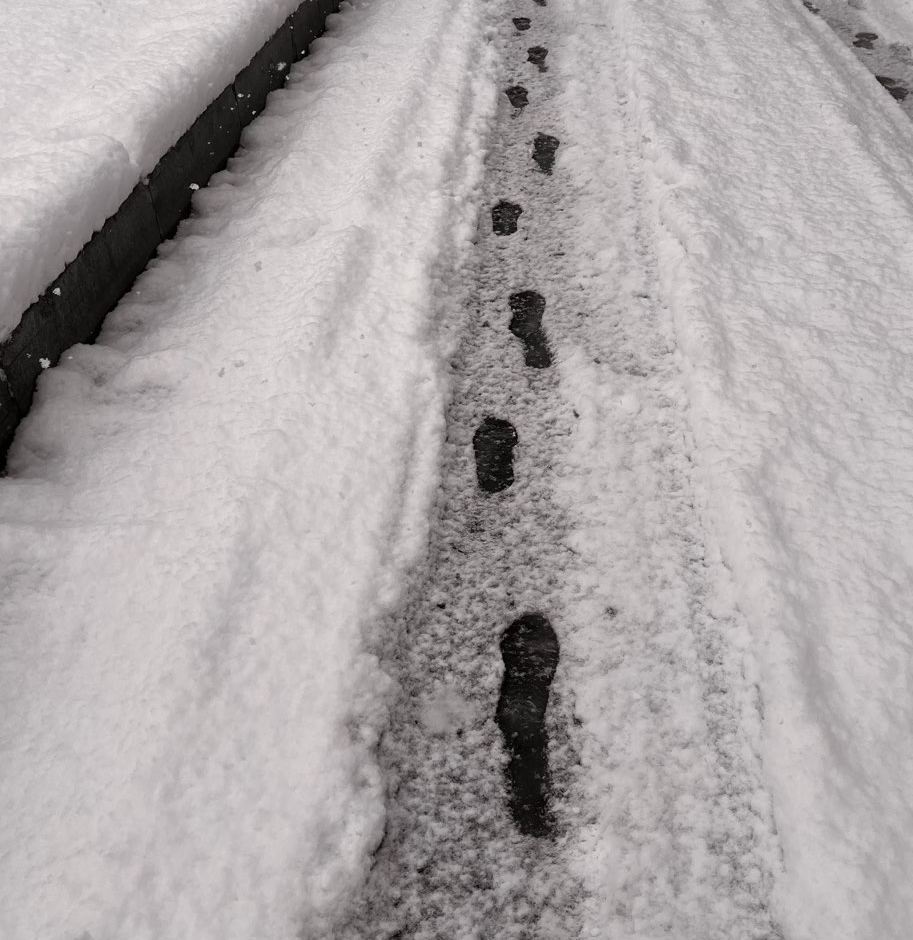 화면 캡처 2025-01-29 211624.png