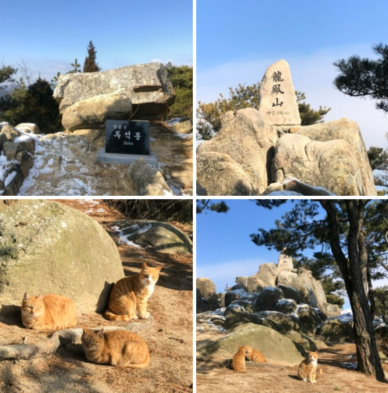 화면 캡처 2024-12-07 183848.png