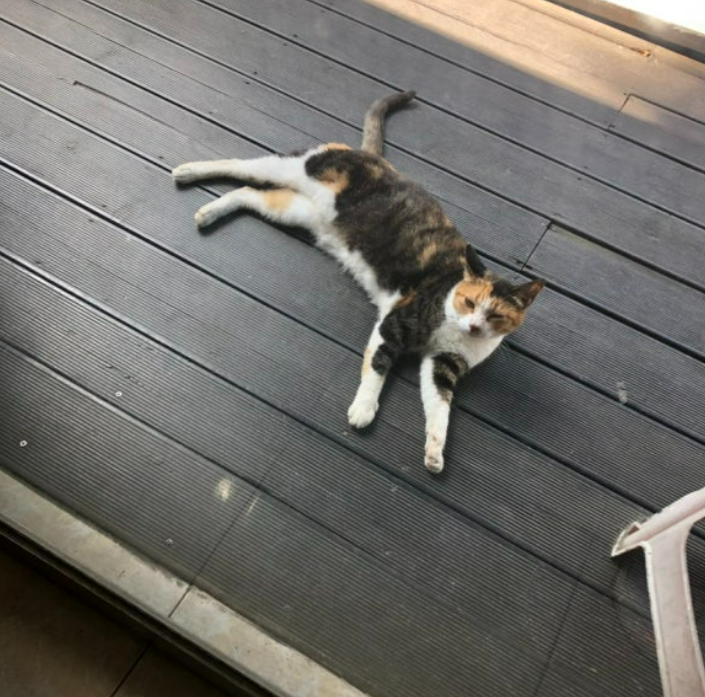 화면 캡처 2024-12-07 183822.png