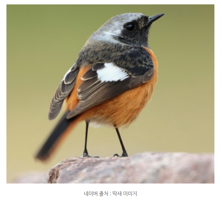 화면 캡처 2024-12-23 123613.png