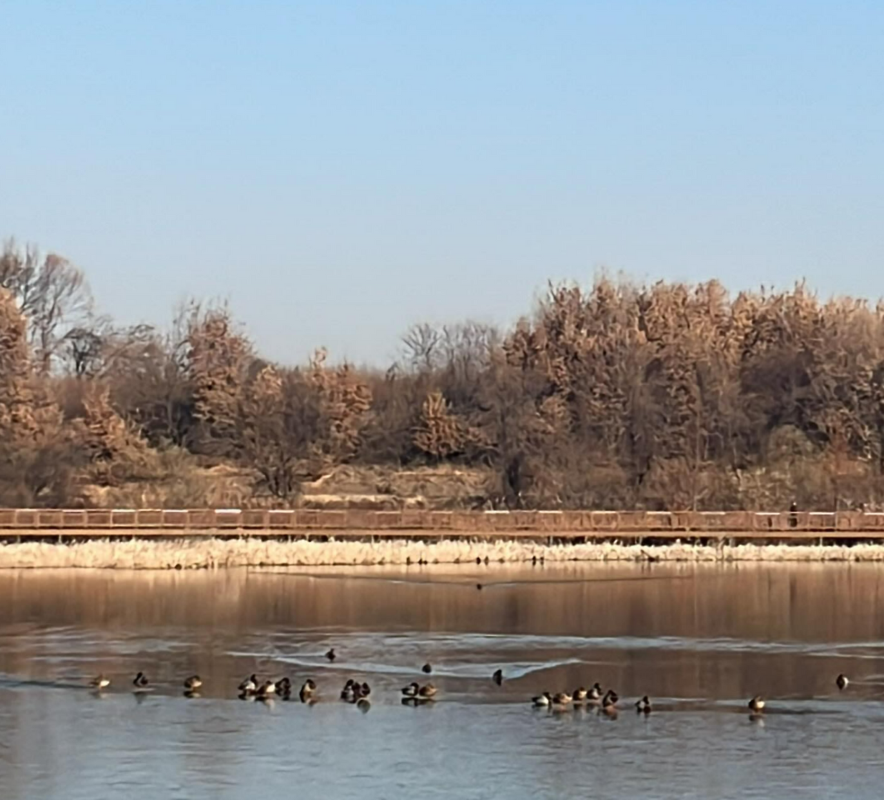 화면 캡처 2024-12-19 135116.png