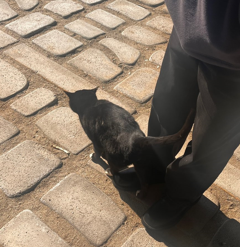 화면 캡처 2025-02-11 100356.png