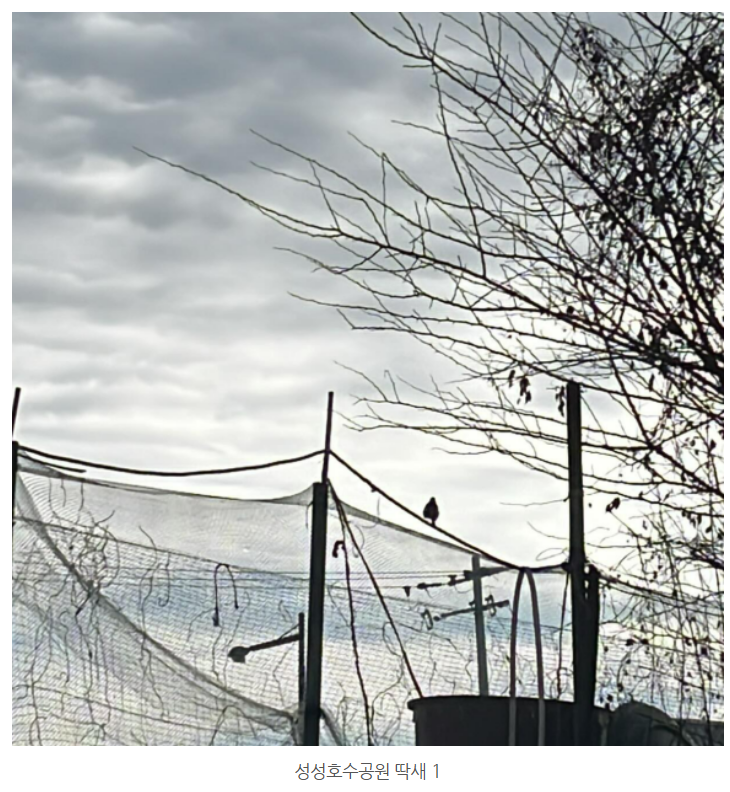 화면 캡처 2024-12-23 123555.png