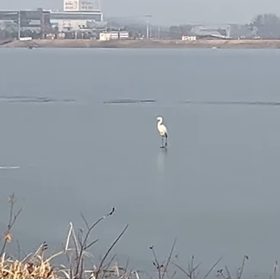 화면 캡처 2025-01-21 174251.png