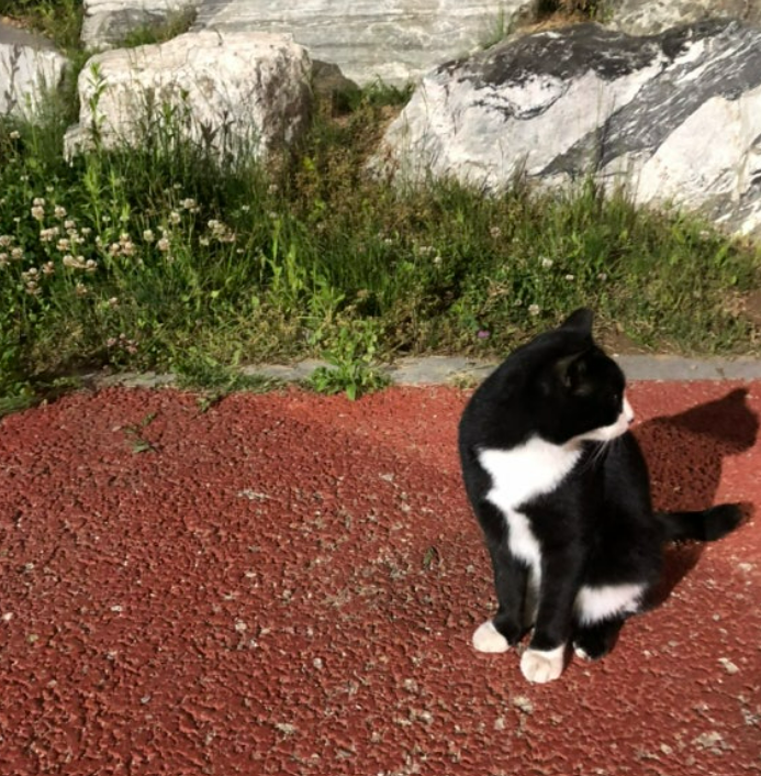 화면 캡처 2024-12-07 183811.png