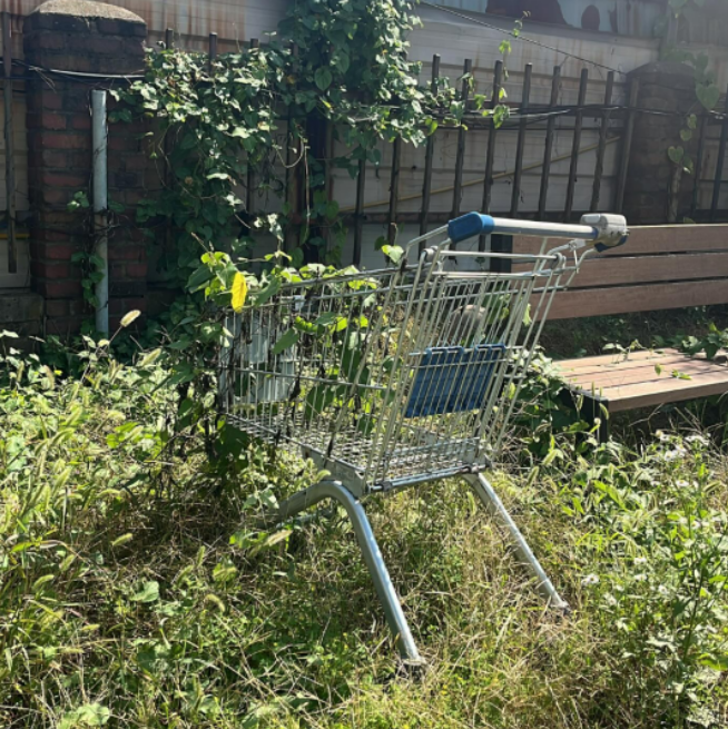 화면 캡처 2024-12-14 131906.png