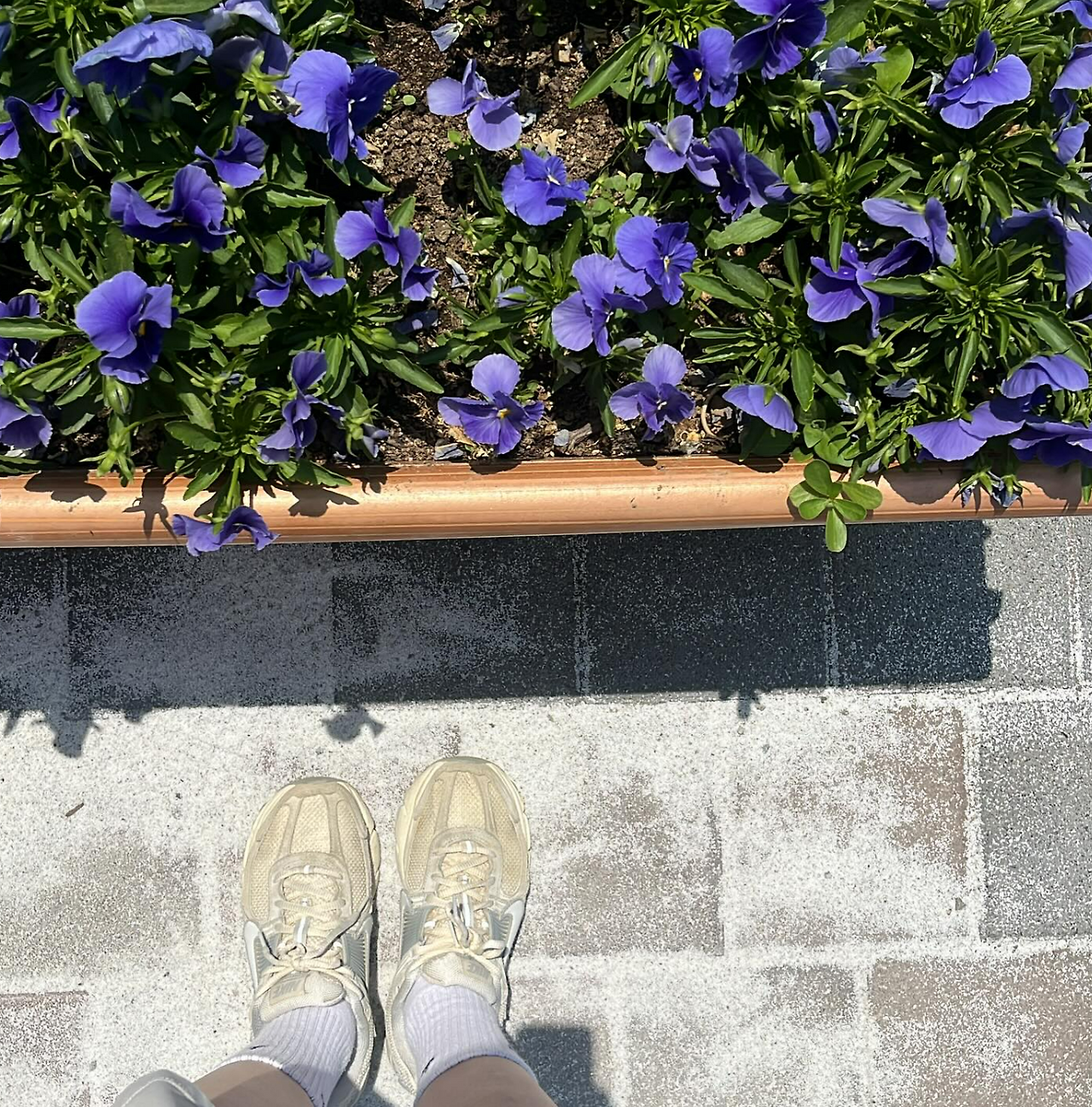 화면 캡처 2025-06-07 070952.png